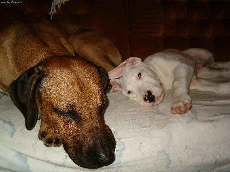 Foto: Monty a Stif